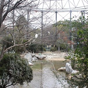 bird exhibit