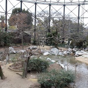Bird exhibit