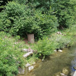 Racoon & Racoon Dog exhibit