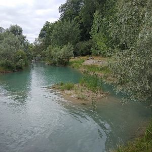European Otter Exhibit