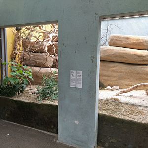 Mixed Species exhibit