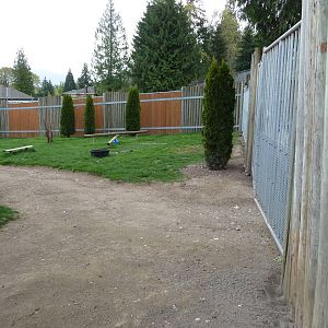 African Crowned Crane Enclosure