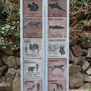 Wildlife Tracks Library