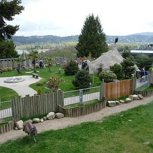 Overview of Magic Forest