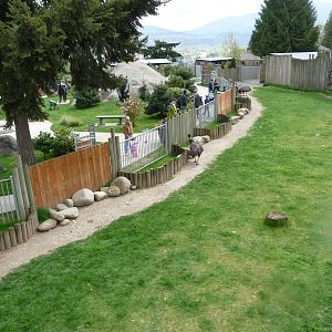 Overview of Magic Forest