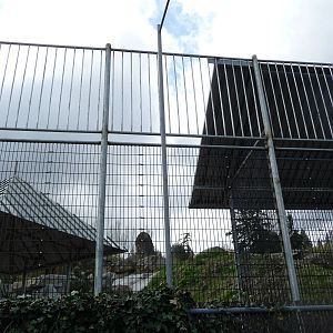 Future Tiger Exhibit