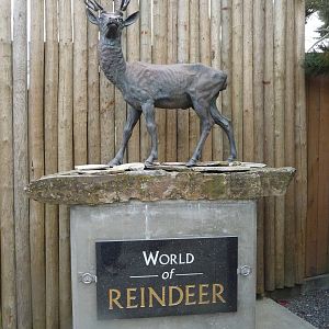 Reindeer Sculpture