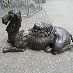 Camel Sculpture