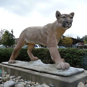 Cougar Mountain Academy