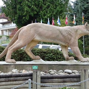 Cougar Mountain Academy