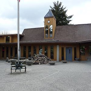 Cougar Mountain Academy