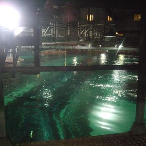 blue planet aquarium