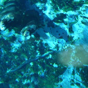 Statues Underwater - from a movie