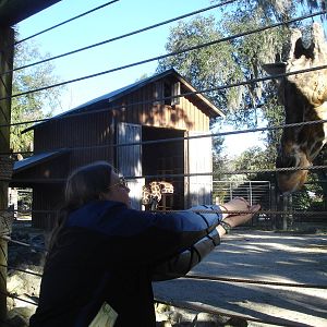 Mystery Woman Feeding Giraffe ... ok me