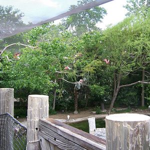 Coastal aviary