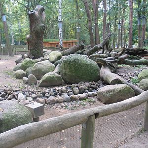 Gustrow, NUP / October 2005