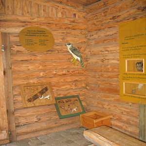 Gustrow, NUP / October 2005