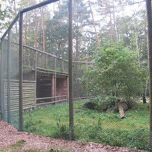 Gustrow, NUP / October 2005