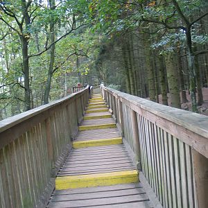 Gustrow, NUP / October 2005