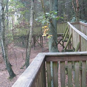 Gustrow, NUP / October 2005