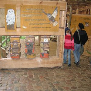 Gustrow, NUP / October 2005