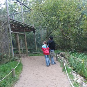 Gustrow, NUP / October 2005