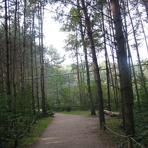 Gustrow, NUP / October 2005