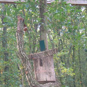 Gustrow, NUP / October 2005