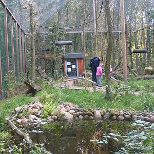 Gustrow, NUP / October 2005