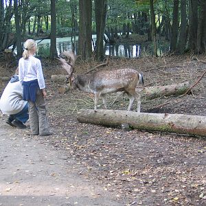 Gustrow, NUP / October 2005