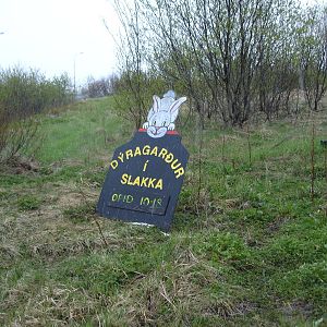 Sign - see it says open