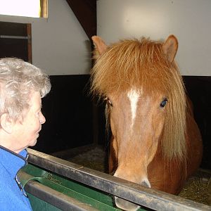 Owner and Horse
