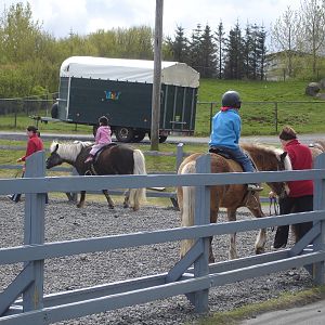 Pony rides