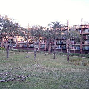 Lodge Rooms along Arusha Savanna