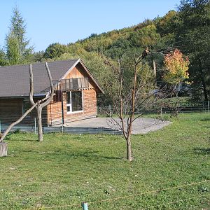 Kosice Zoo / October 2006