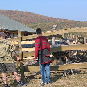 Kosice Zoo / October 2006