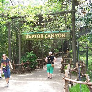 Raptor Canyon