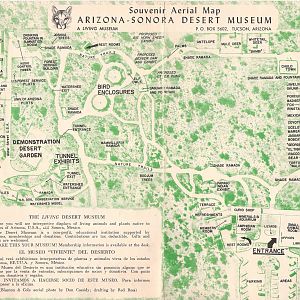 1966 Museum Map