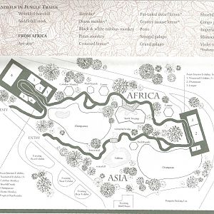 Jungle Trails Plan