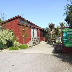 Meet the forest browsers, Okapi Houses