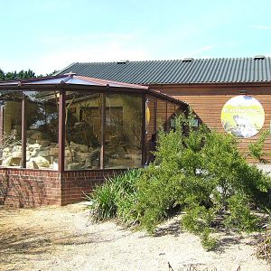 The Desert Carnivores House