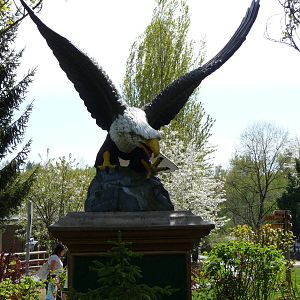 Bald Eagle Statue