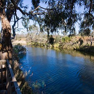 Werribee River - Sep 2008