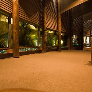 World of the Platypus - Sep 2008