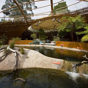 Platypussary - Sep 2008