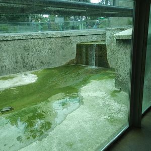 Empty Harbour Seal pool