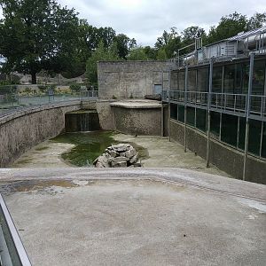 Empty Harbour Seal pool