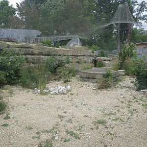 Persian Leopard exhibit