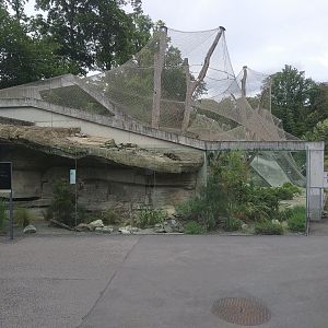 Outdoor terrarium attached to the leopard cage