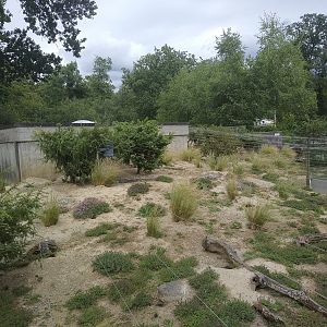 European Souslik enclosure